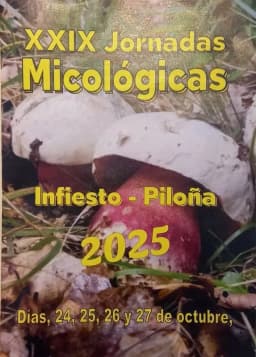 Cartel de fiestas | XXIX Jornadas Micológicas