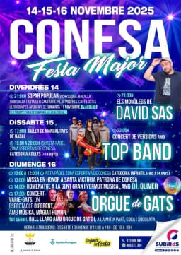 Cartel de fiestas | Fiesta Mayor