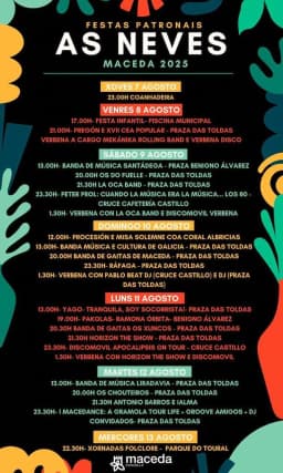 Cartel de fiestas | Virgen de la Nieves