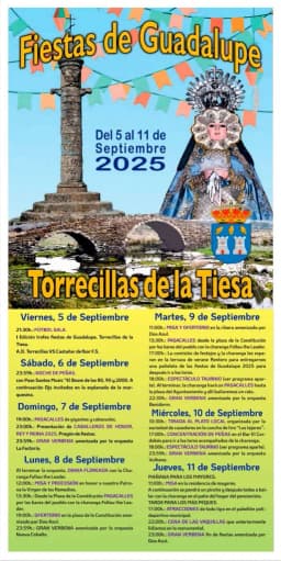 Cartel de fiestas | Fiestas de Guadalupe