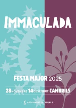 Cartel de fiestas | Fiesta Mayor