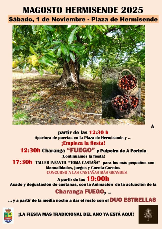 Cartel de fiestas | Hermisende