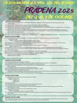 Cartel de fiestas | Fiestas en Honor a Nuestra Señora del Rosario