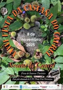 Cartel de fiestas | XXXVI Fiesta de la Castaña